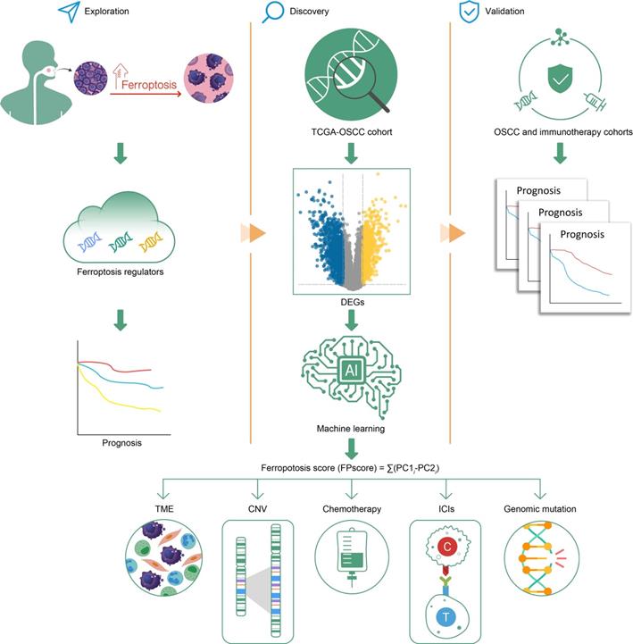 Int J Biol Sci Image