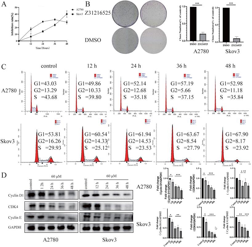 Int J Biol Sci Image