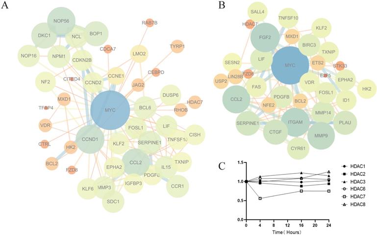 Int J Biol Sci Image