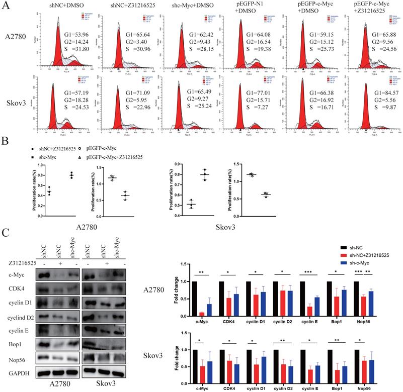 Int J Biol Sci Image