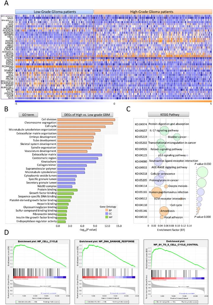 Int J Biol Sci Image