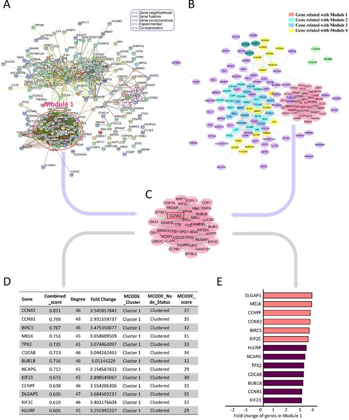 Int J Biol Sci Image