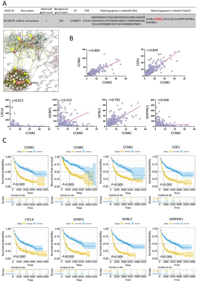 Int J Biol Sci Image