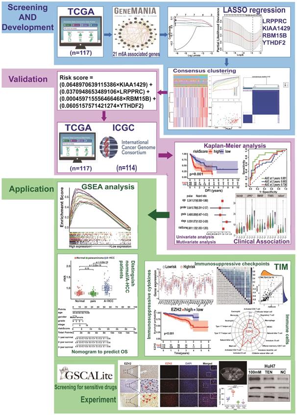 Int J Biol Sci Image