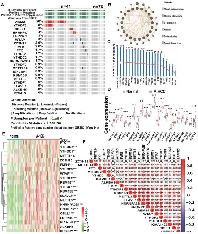 Int J Biol Sci Image