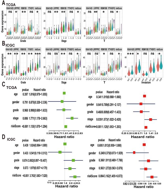 Int J Biol Sci Image