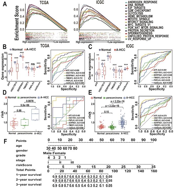 Int J Biol Sci Image