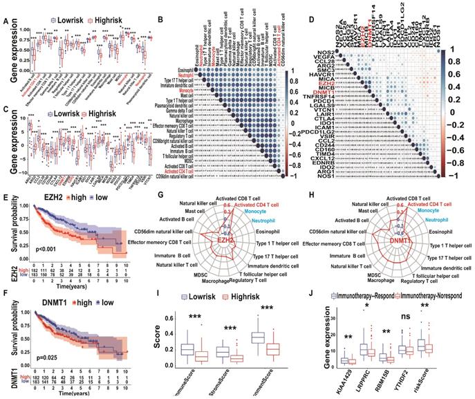 Int J Biol Sci Image