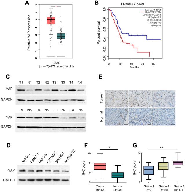 Int J Biol Sci Image