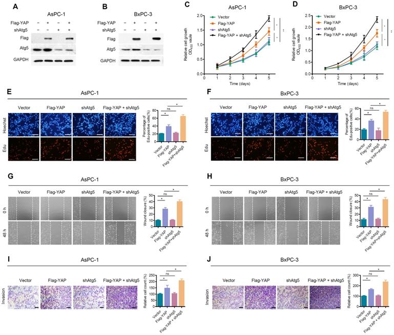 Int J Biol Sci Image