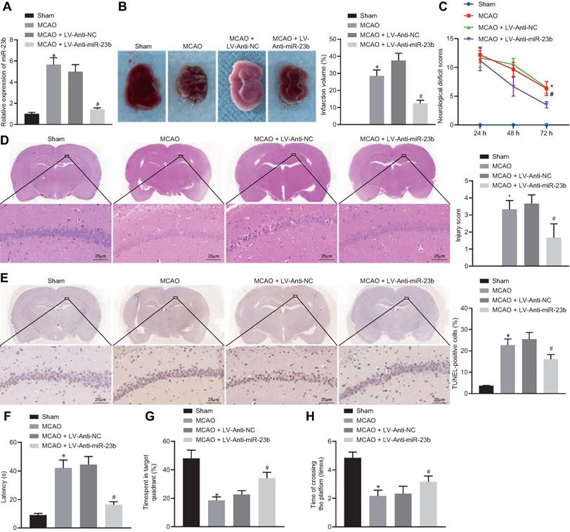 Int J Biol Sci Image