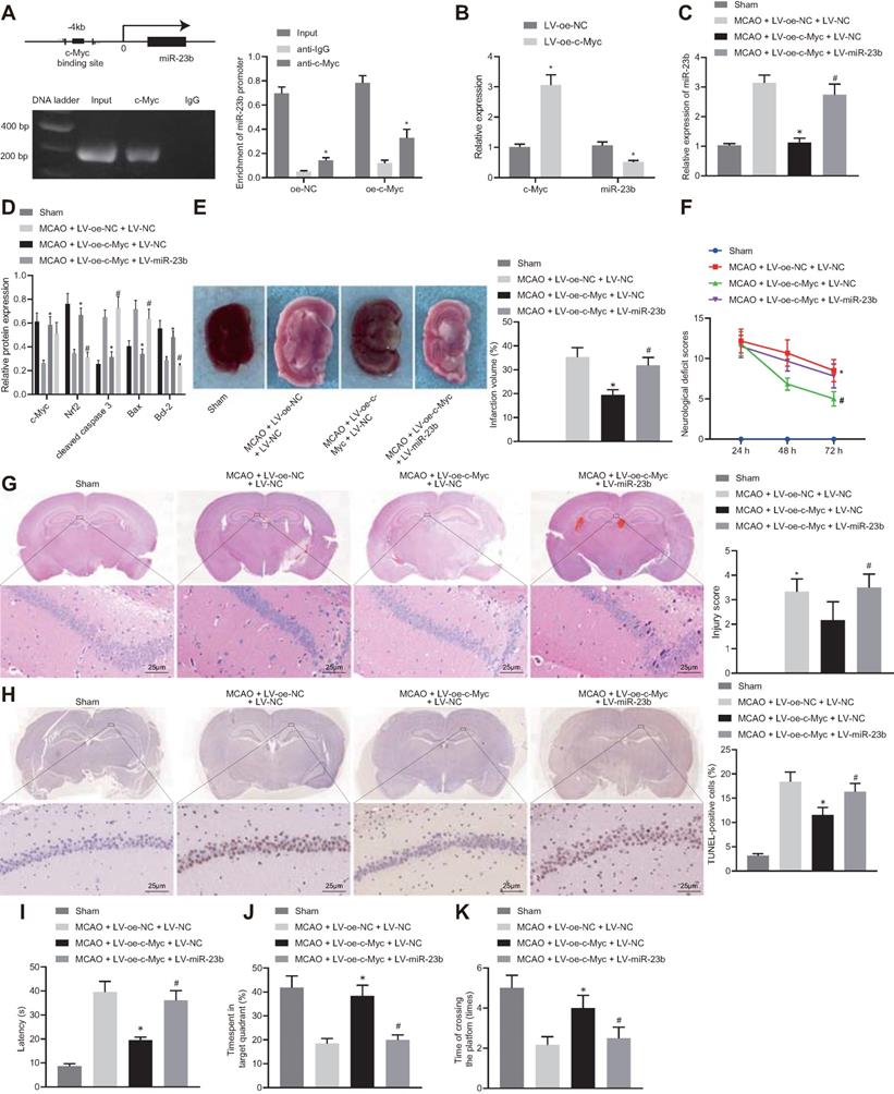 Int J Biol Sci Image