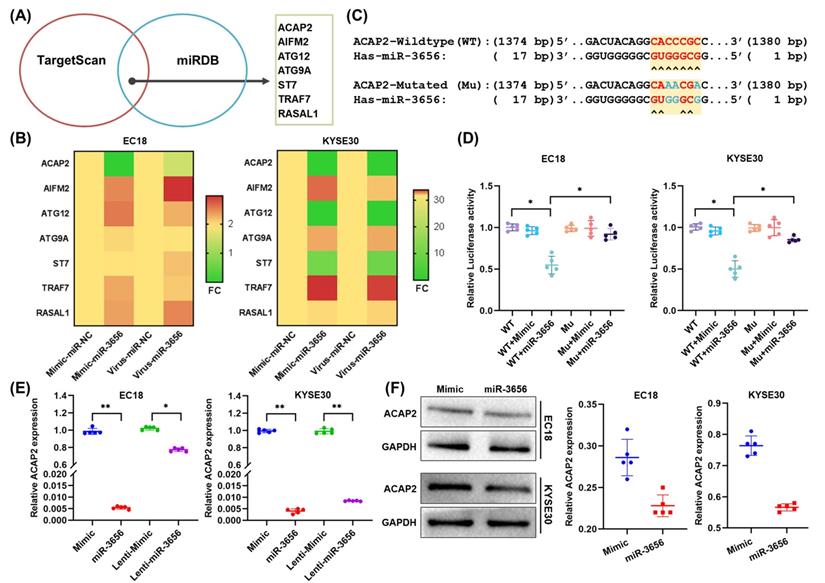 Int J Biol Sci Image