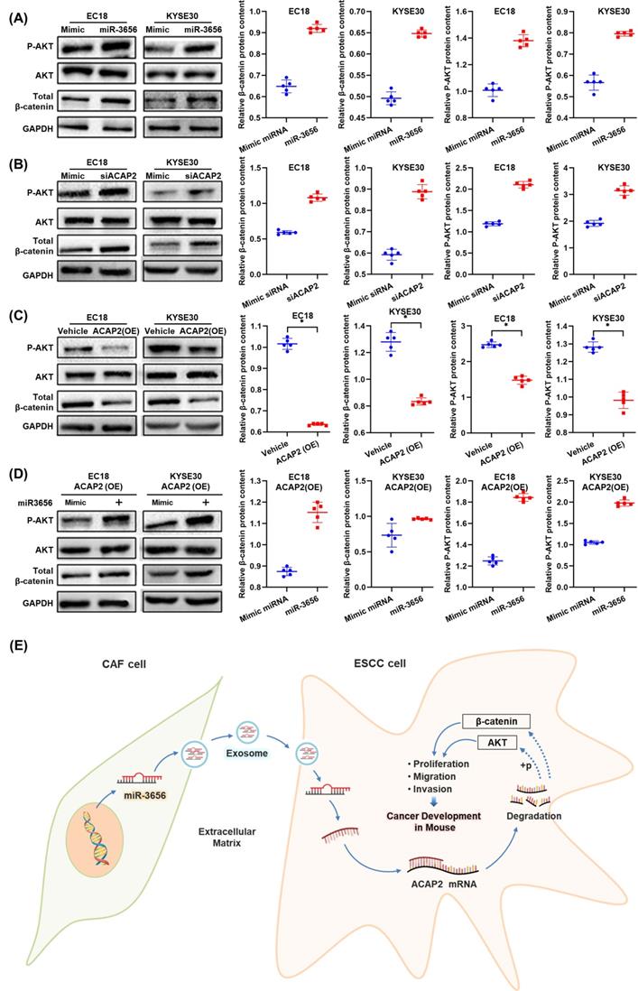 Int J Biol Sci Image