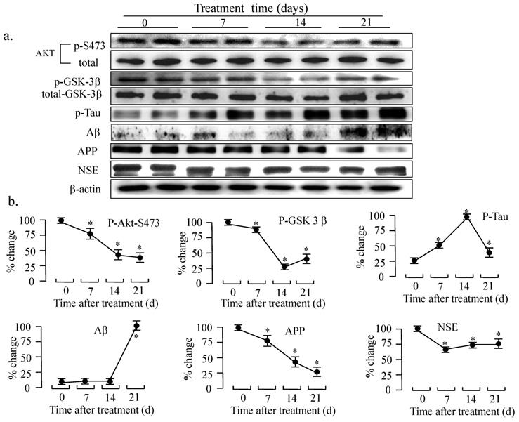 Int J Biol Sci Image