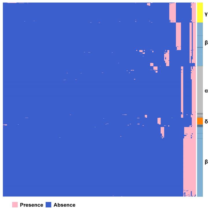 Int J Biol Sci Image