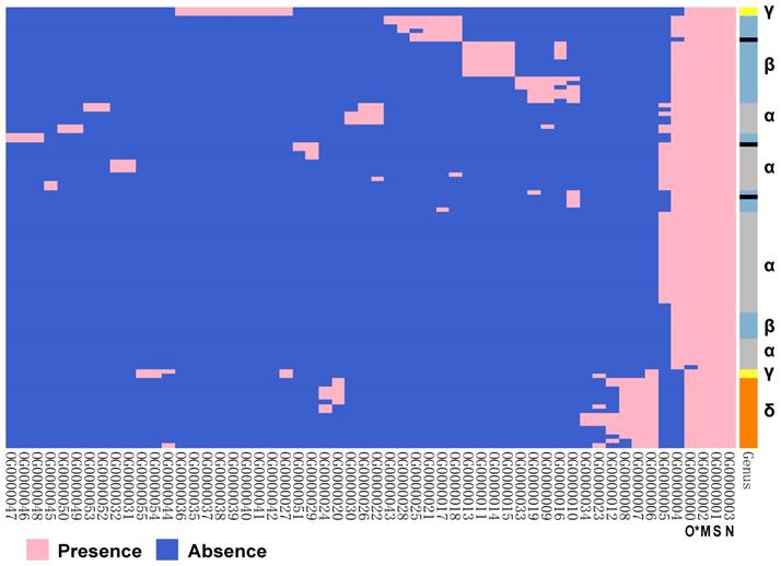 Gene Presence/Absence Variation analysis of coronavirus family displays ...