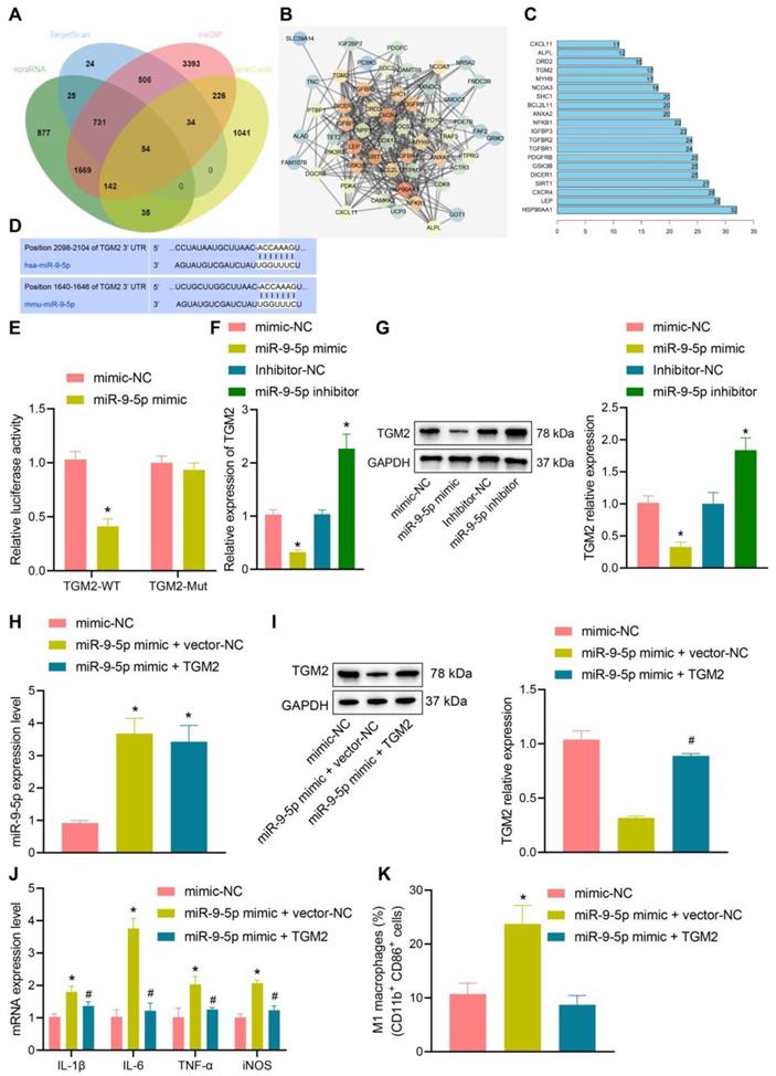 Int J Biol Sci Image