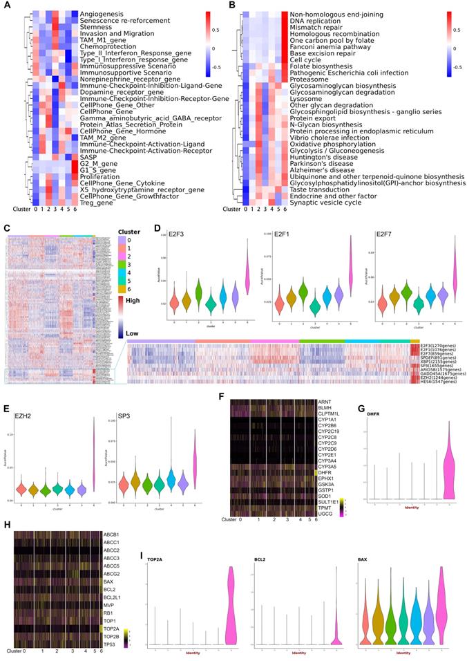 Int J Biol Sci Image