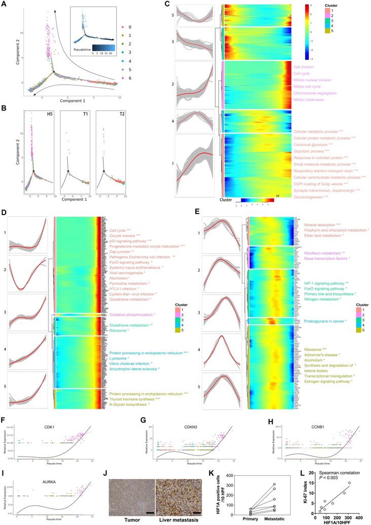 Int J Biol Sci Image