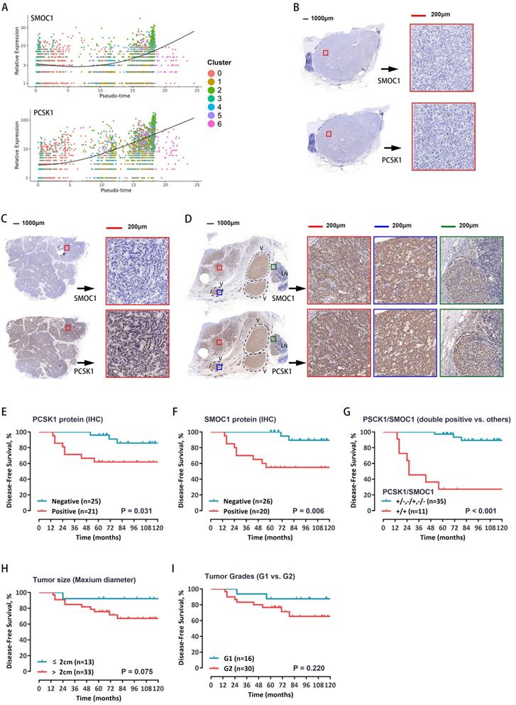 Int J Biol Sci Image