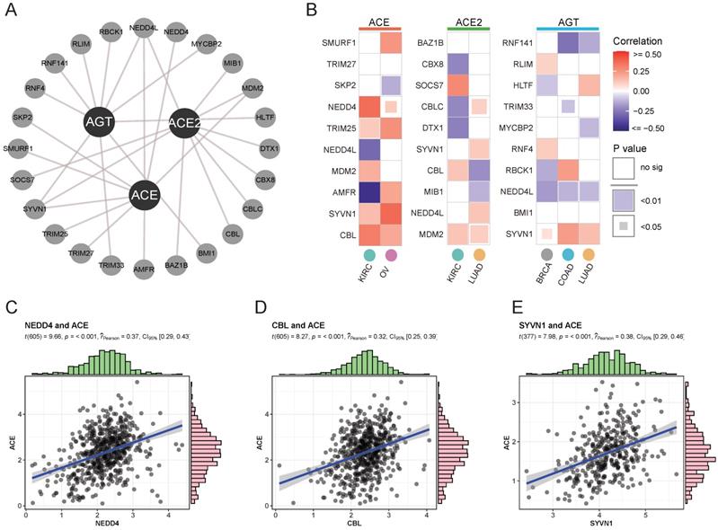 Int J Biol Sci Image