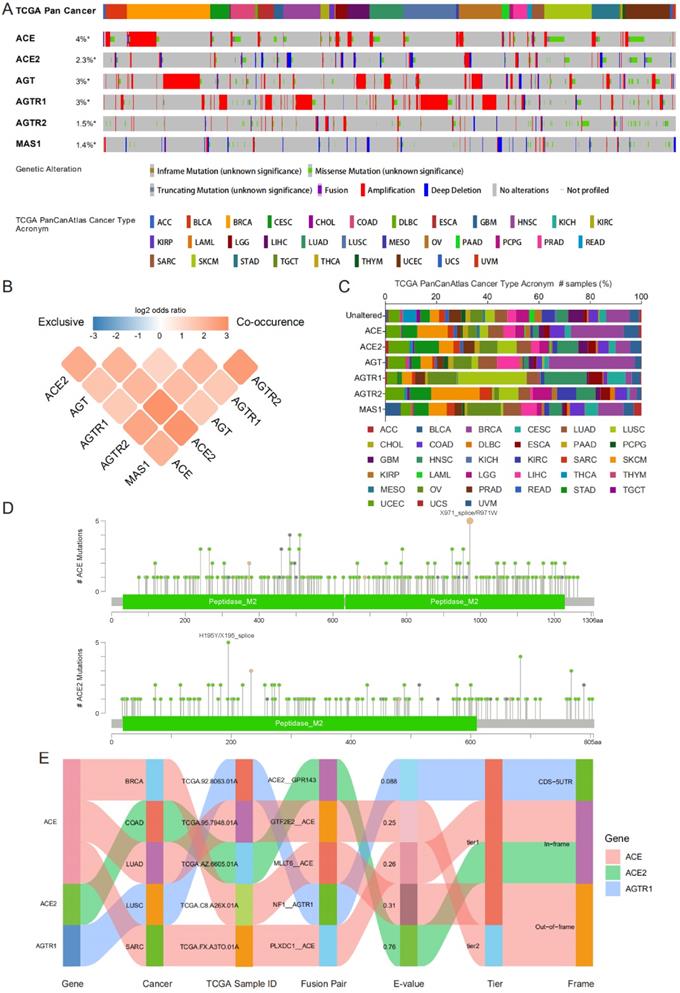 Int J Biol Sci Image