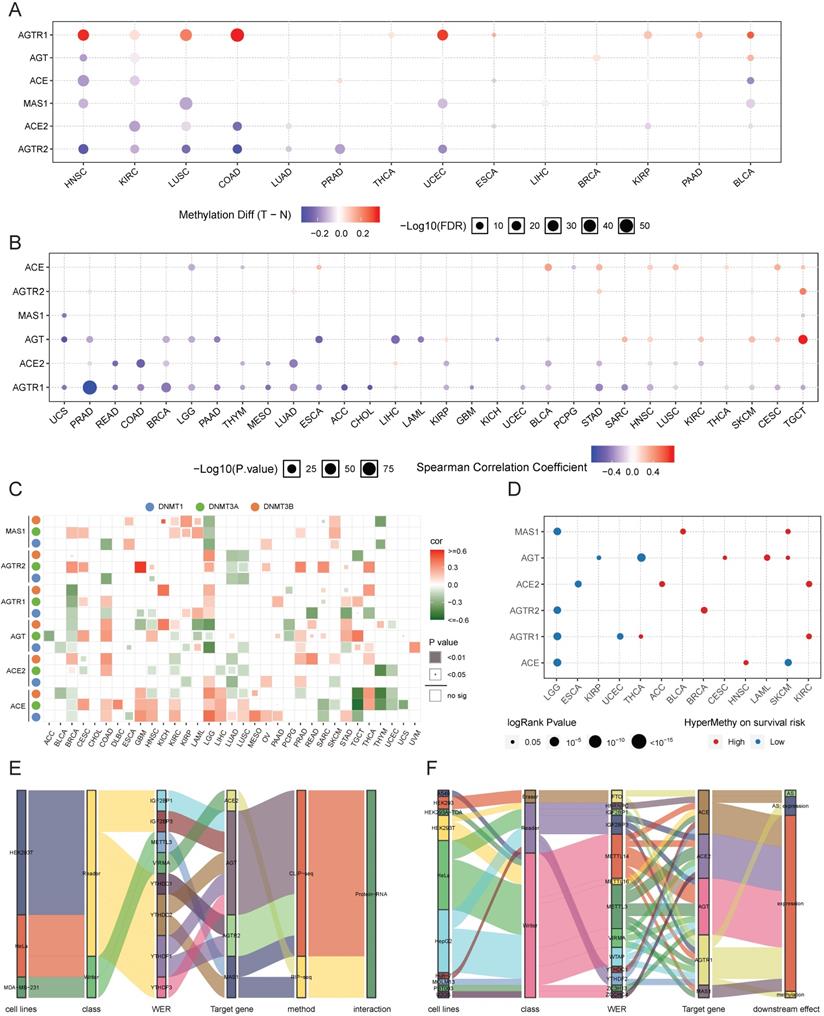 Int J Biol Sci Image