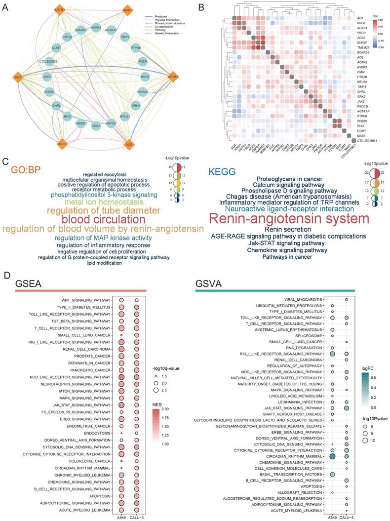 Int J Biol Sci Image