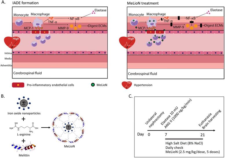 Int J Biol Sci Image