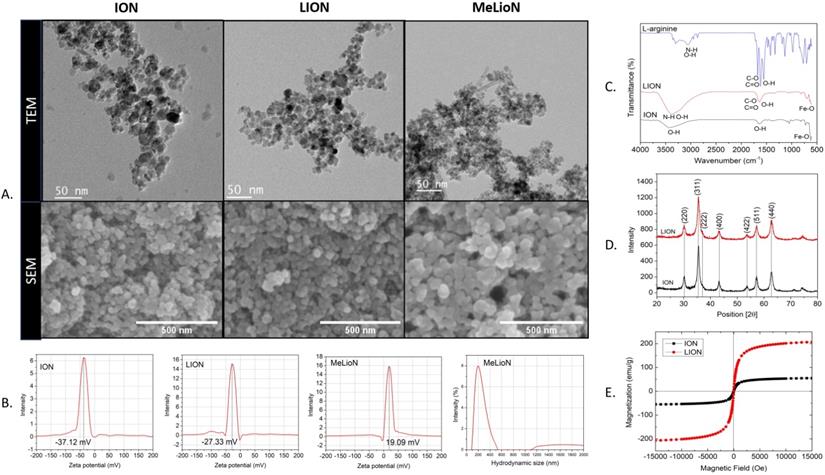 Int J Biol Sci Image