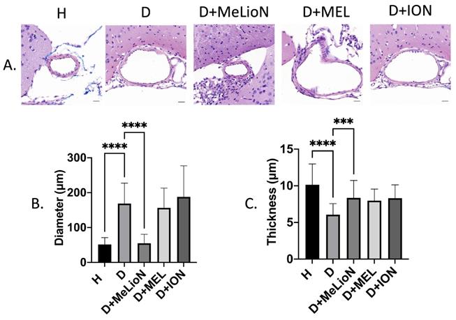 Int J Biol Sci Image