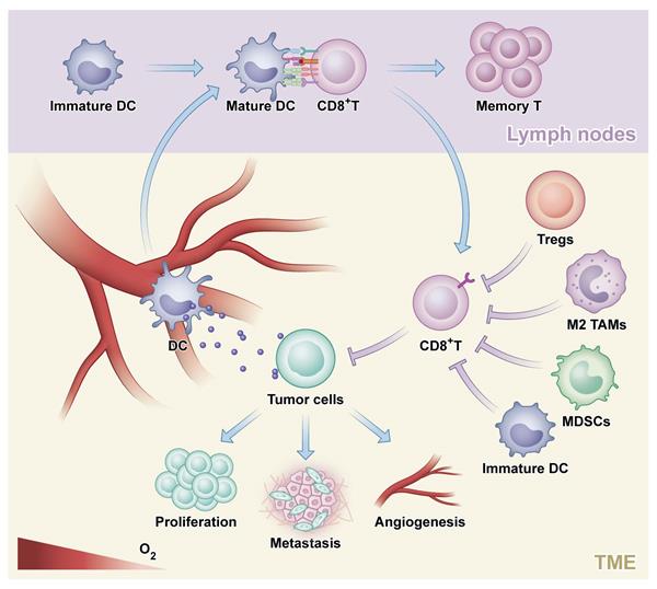 Int J Biol Sci Image