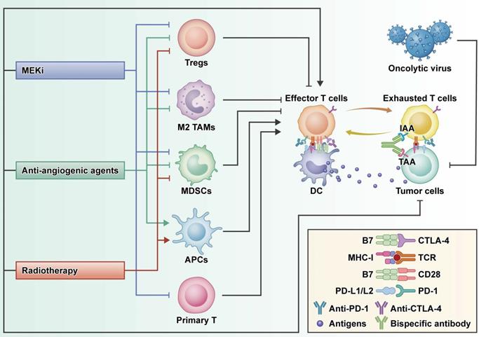 Int J Biol Sci Image