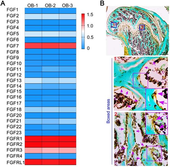 Int J Biol Sci Image