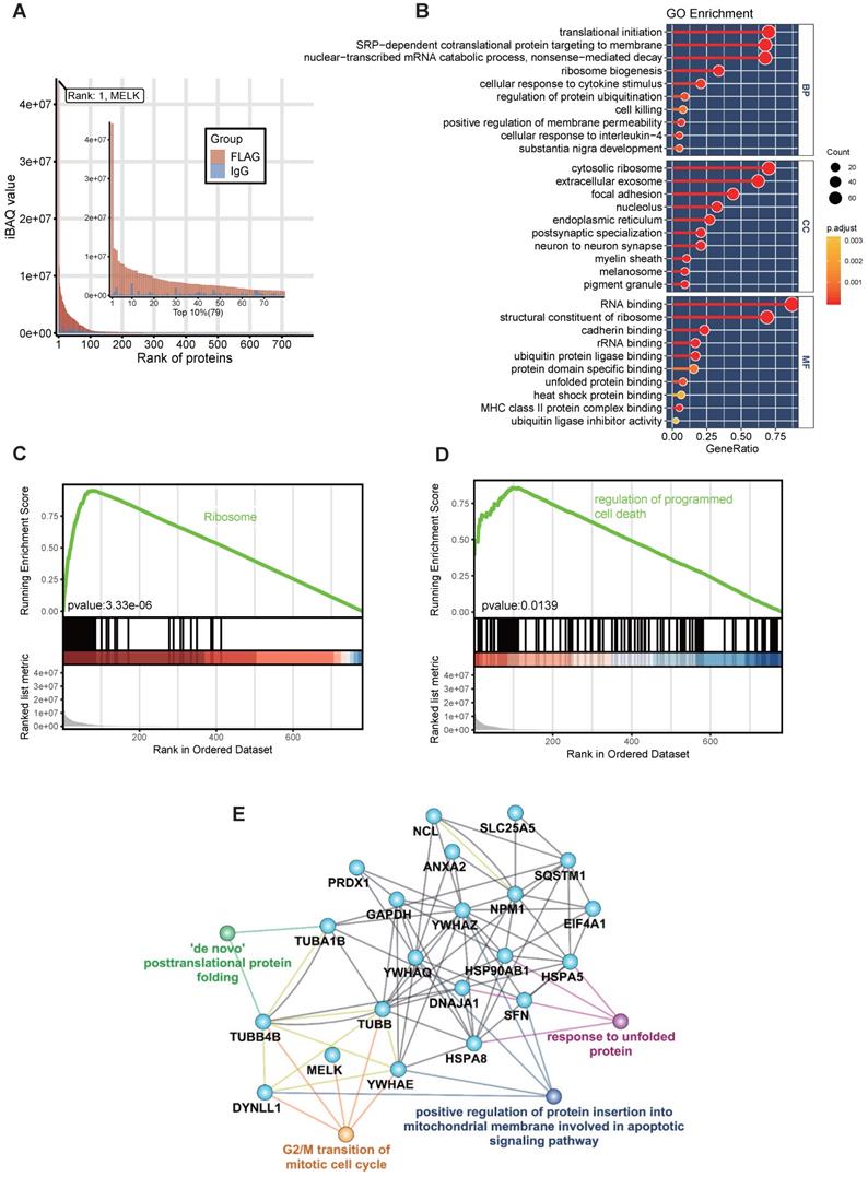 Int J Biol Sci Image