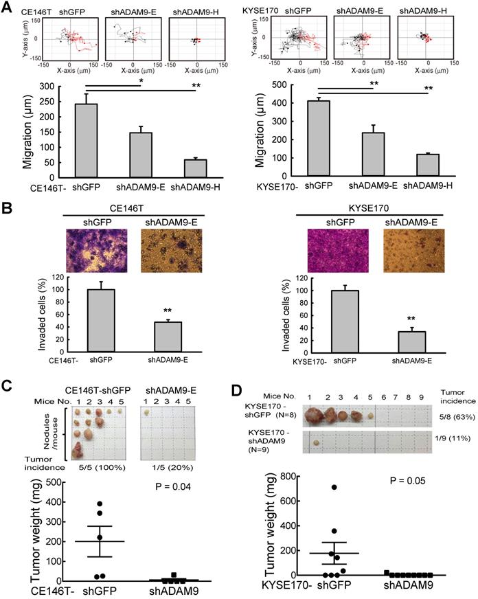 Int J Biol Sci Image