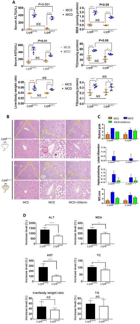 Int J Biol Sci Image