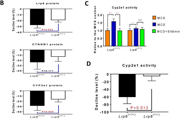 Int J Biol Sci Image