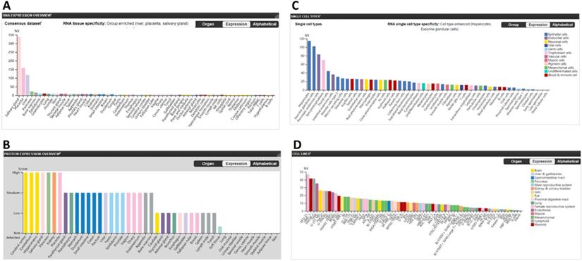 Int J Biol Sci Image