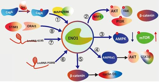 Int J Biol Sci Image