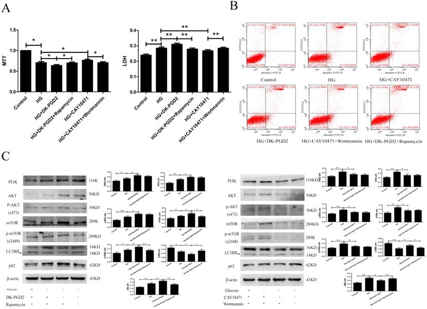 Int J Biol Sci Image