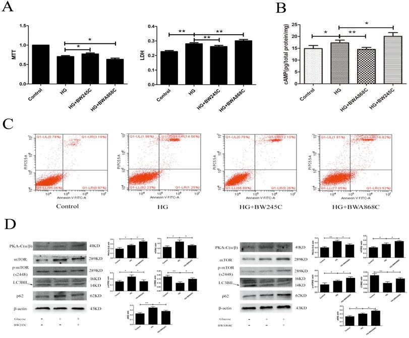 Int J Biol Sci Image