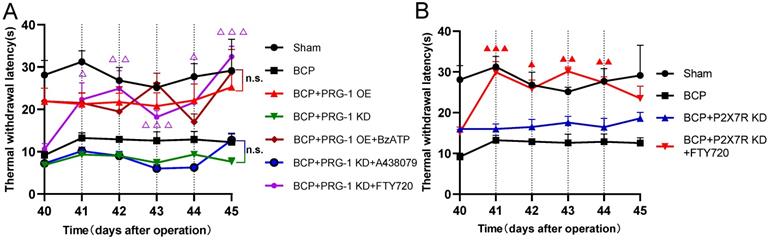 Int J Biol Sci Image