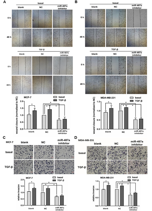 Int J Biol Sci Image