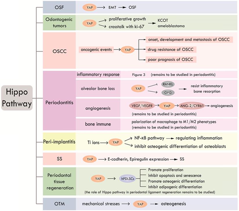 Int J Biol Sci Image