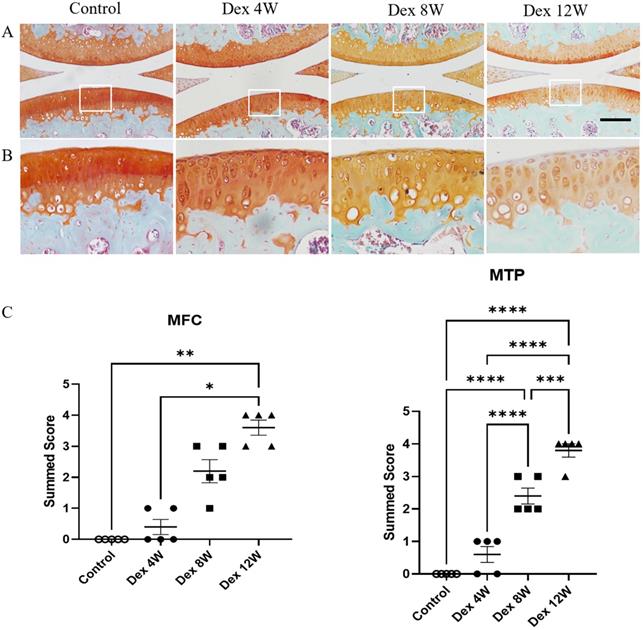 Int J Biol Sci Image