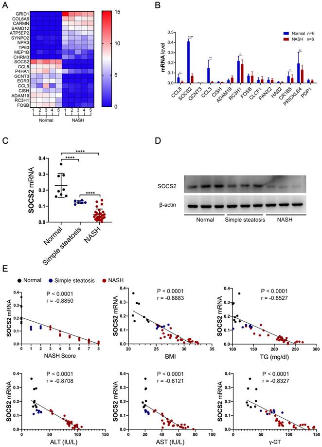 Int J Biol Sci Image