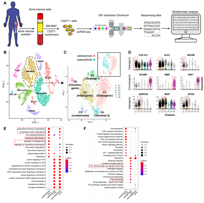 Int J Biol Sci Image