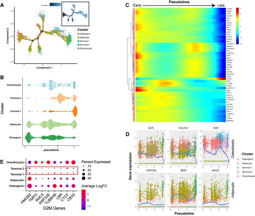 Int J Biol Sci Image